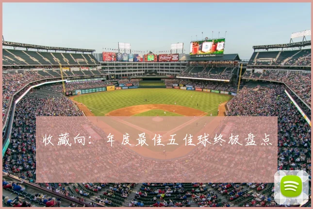 收藏向：年度最佳五佳球终极盘点