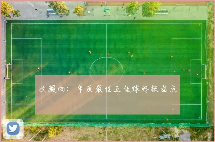 收藏向：年度最佳五佳球终极盘点